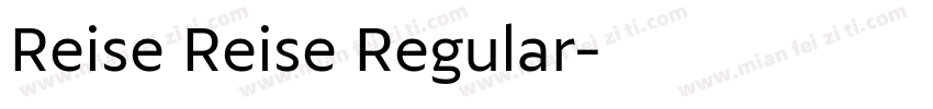 Reise Reise Regular字体转换